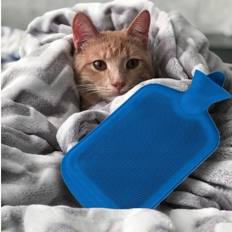 5c570079e9a1900a2f4dd4893f44d913