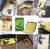 fe58902c9a2fd5fed6099e15cd4f2d77